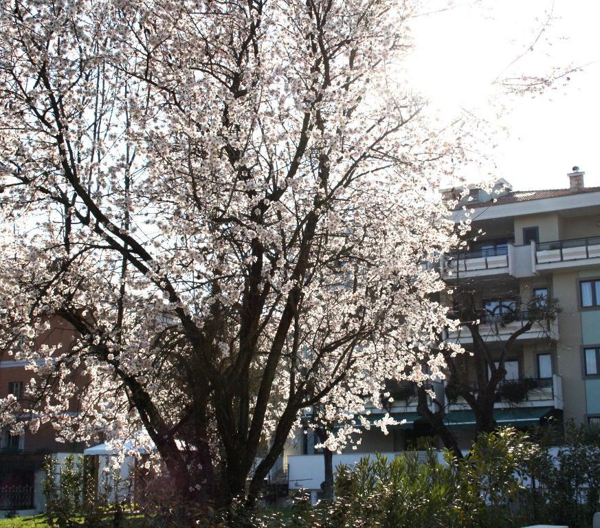 Ecohotel Roma Екстериор снимка